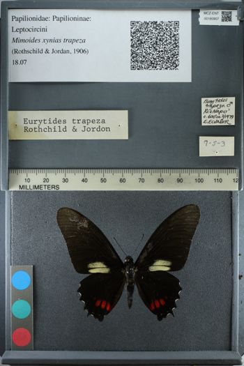 Media type: image;   Entomology 180907